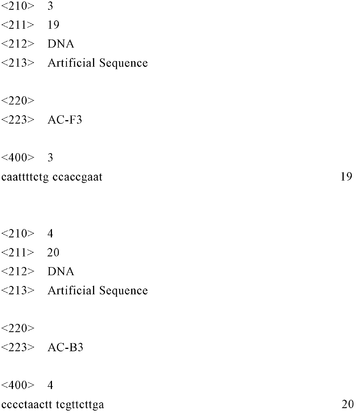 Loop-mediated isothermal amplification primers and kit for detecting acanthamoeba