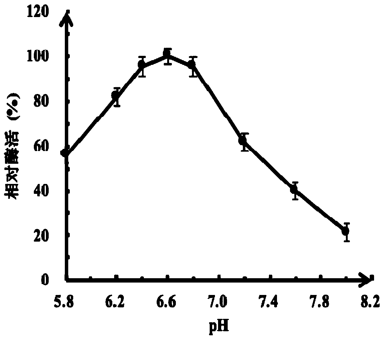 Thermophilic recombinant II type pullulanase and application thereof