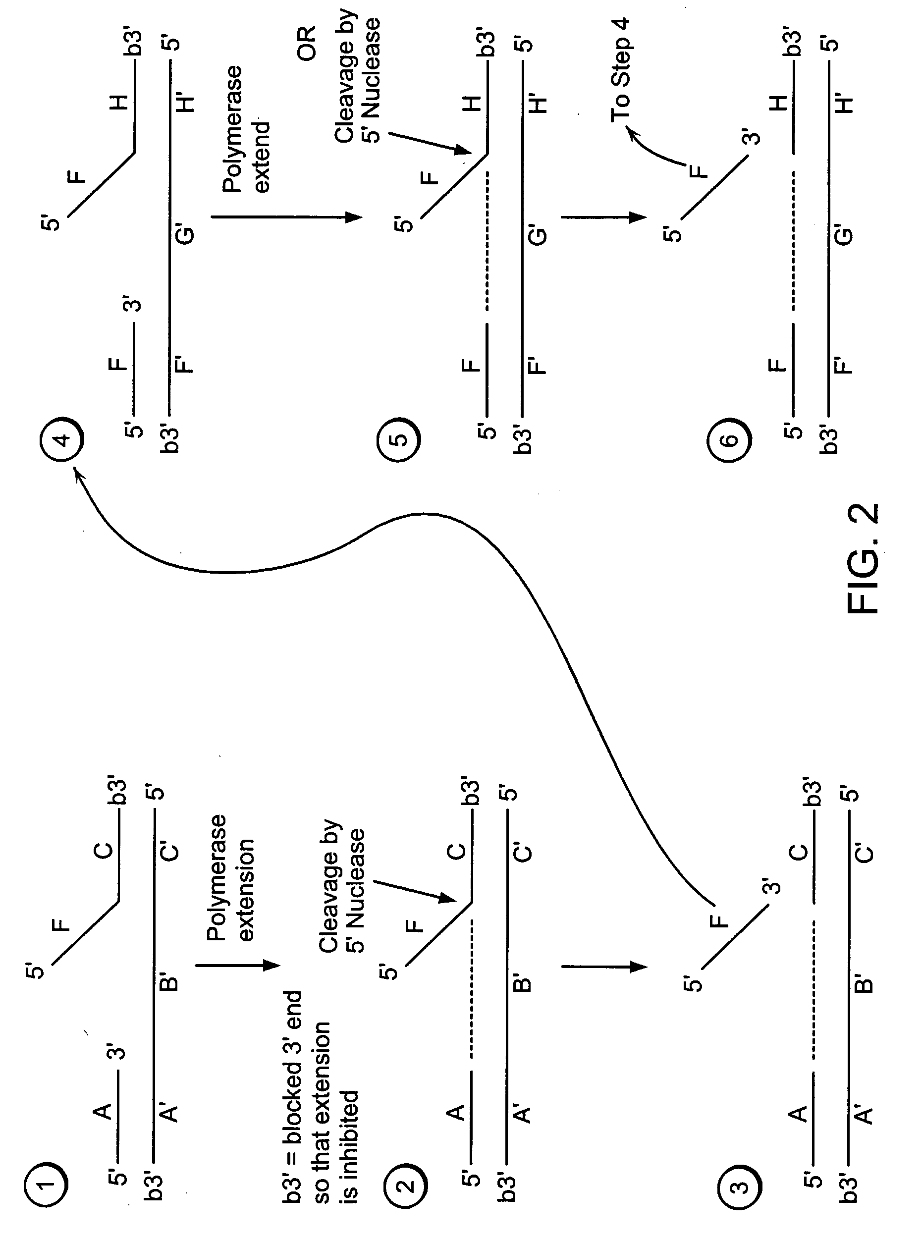 Methods for detection of a nucleic acid by sequential amplification