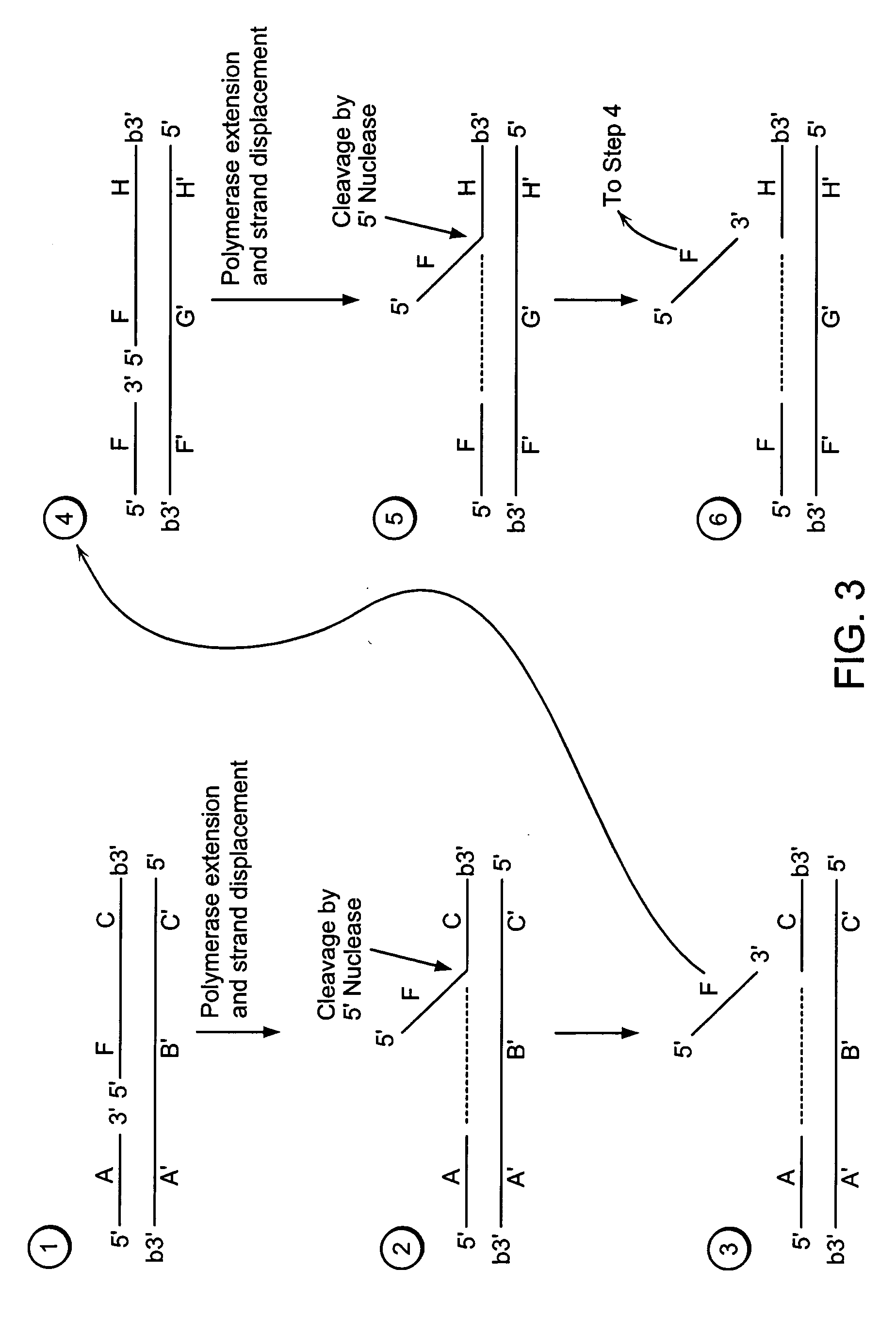 Methods for detection of a nucleic acid by sequential amplification