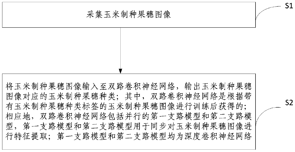 Corn seed production cluster screening method and device based on double-channel convolutional neural network