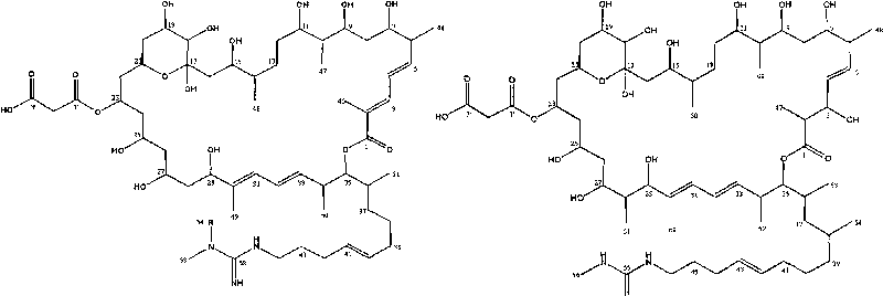 Macrolide composition for preventing and controlling fungal disease of crop and preparation process thereof