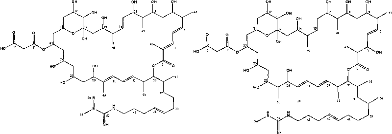 Macrolide composition for preventing and controlling fungal disease of crop and preparation process thereof