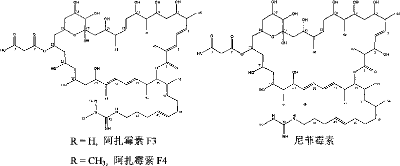 Macrolide composition for preventing and controlling fungal disease of crop and preparation process thereof