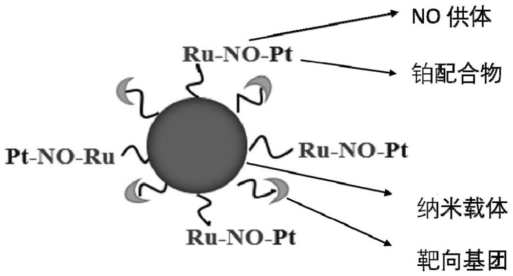 Nitric oxide and cisplatin targeted combined controllable delivery nano drug system and its preparation