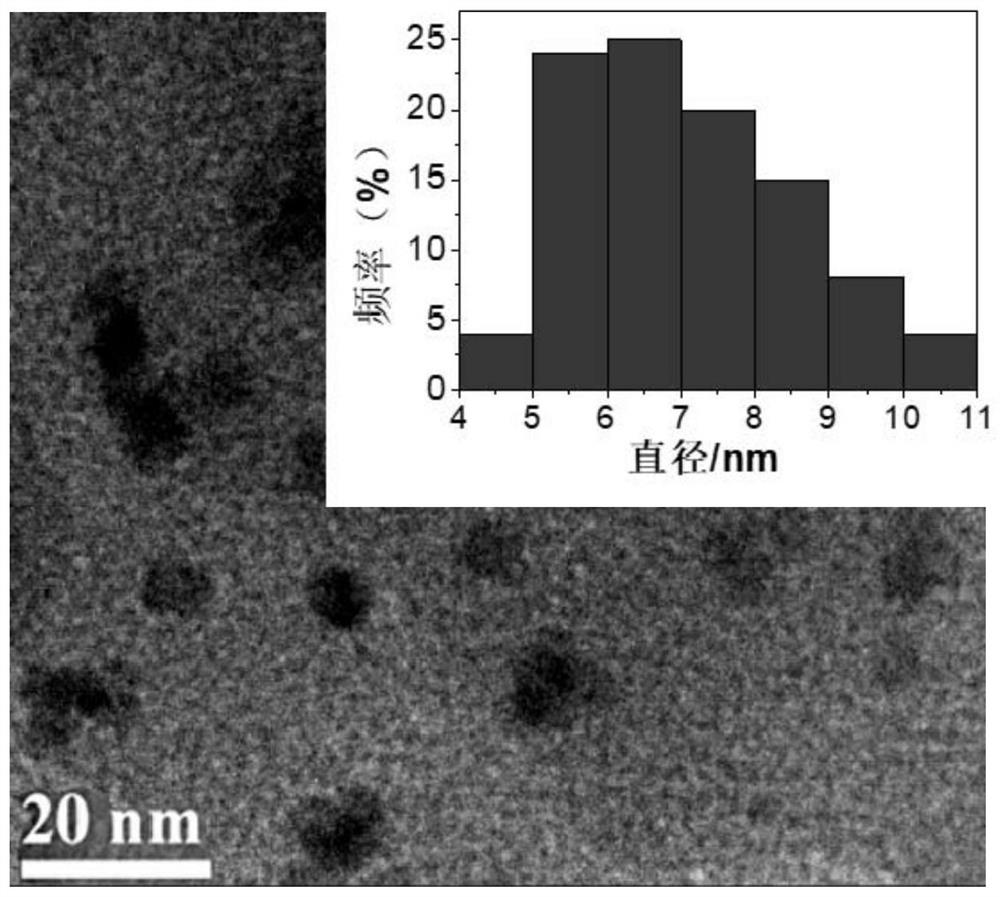 Nitric oxide and cisplatin targeted combined controllable delivery nano drug system and its preparation