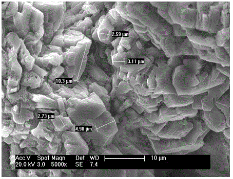 Tailing sand biological prefabricated product and preparation method thereof