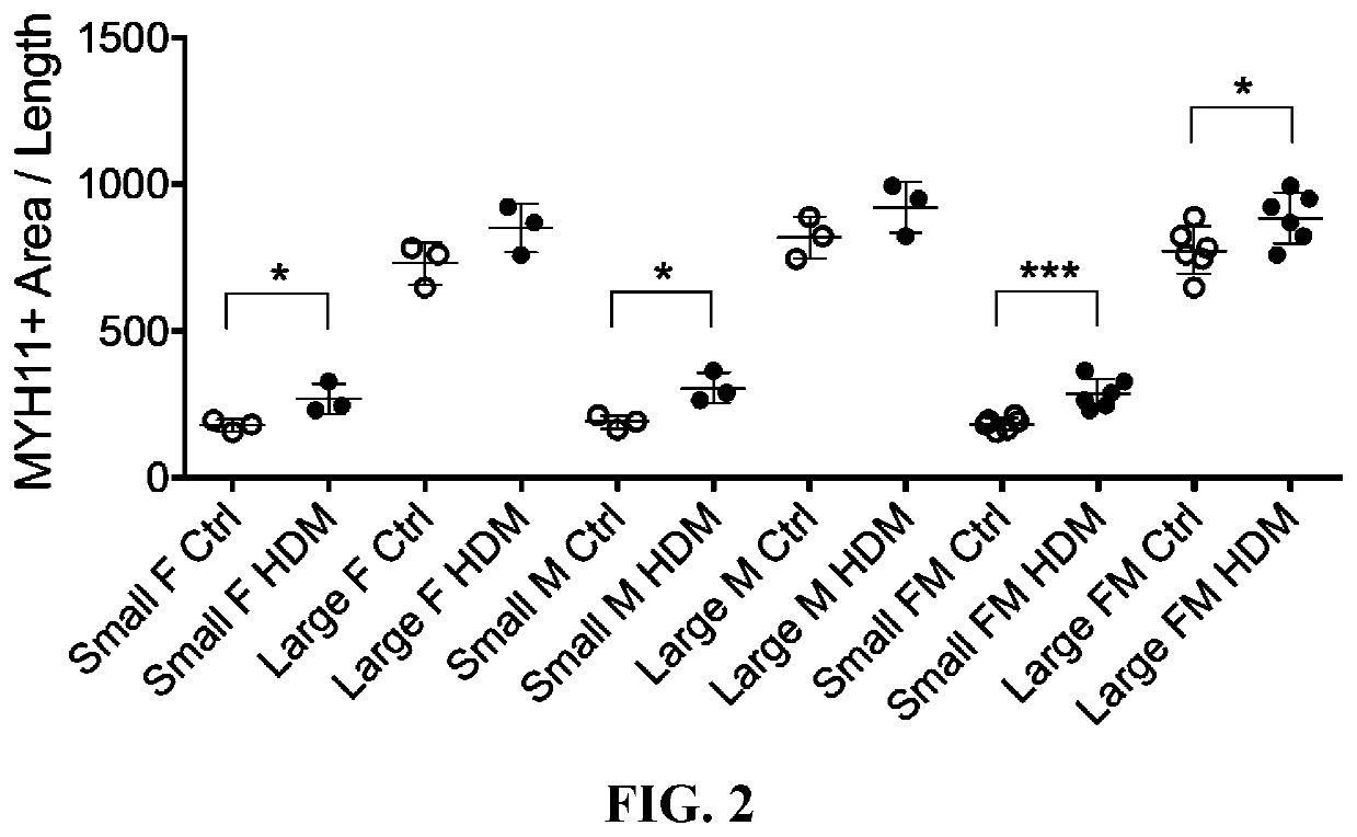 Remodilins for airway remodeling and organ fibrosis