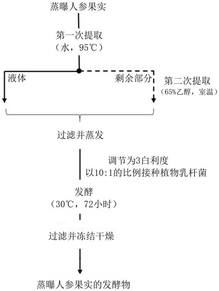 Pharmaceutical composition and health food