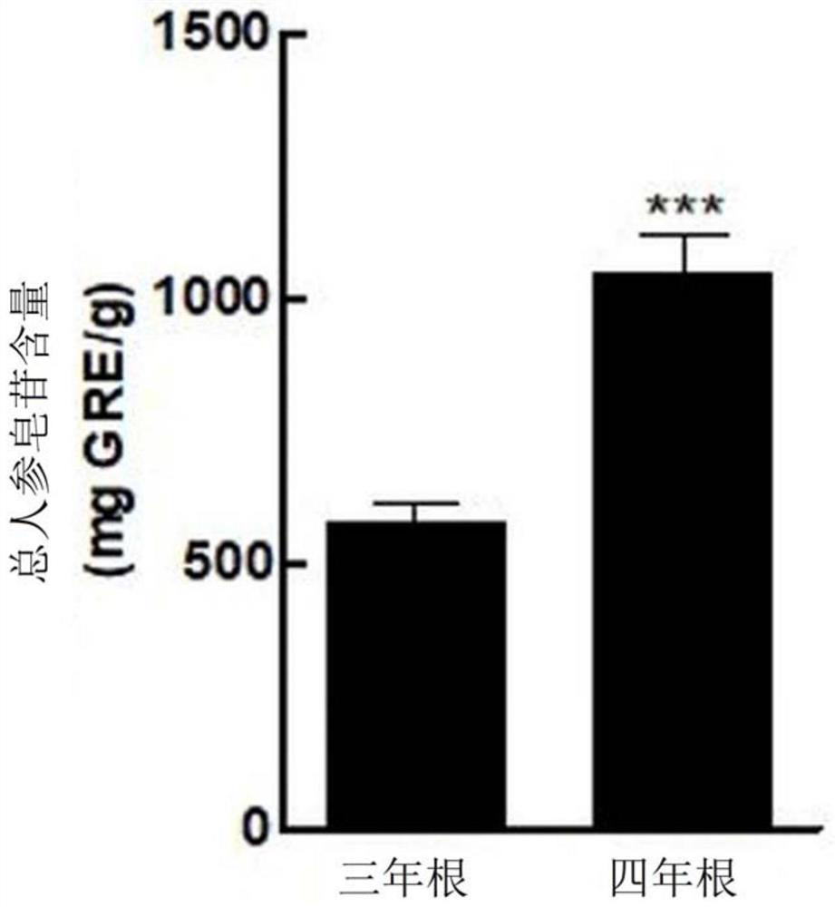 Pharmaceutical composition and health food