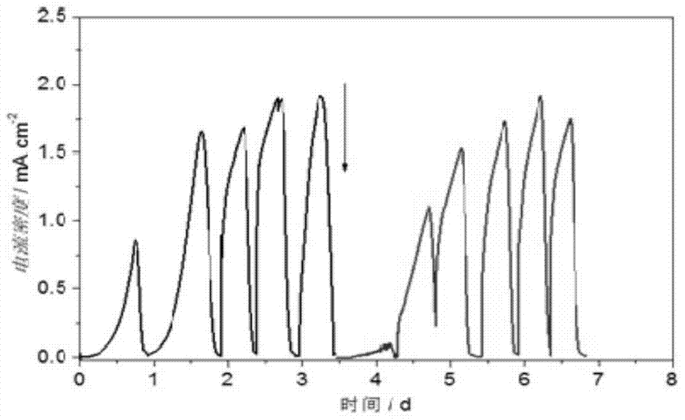 A kind of stainless steel microbial electrode and its preparation method and application