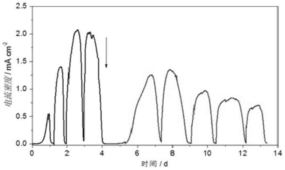 A kind of stainless steel microbial electrode and its preparation method and application