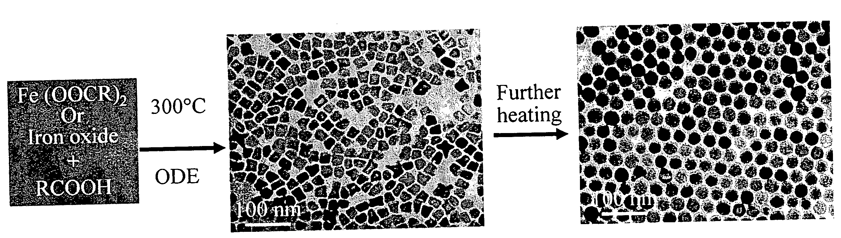 Synthetic control of metal oxide nanocrystal sizes and shapes