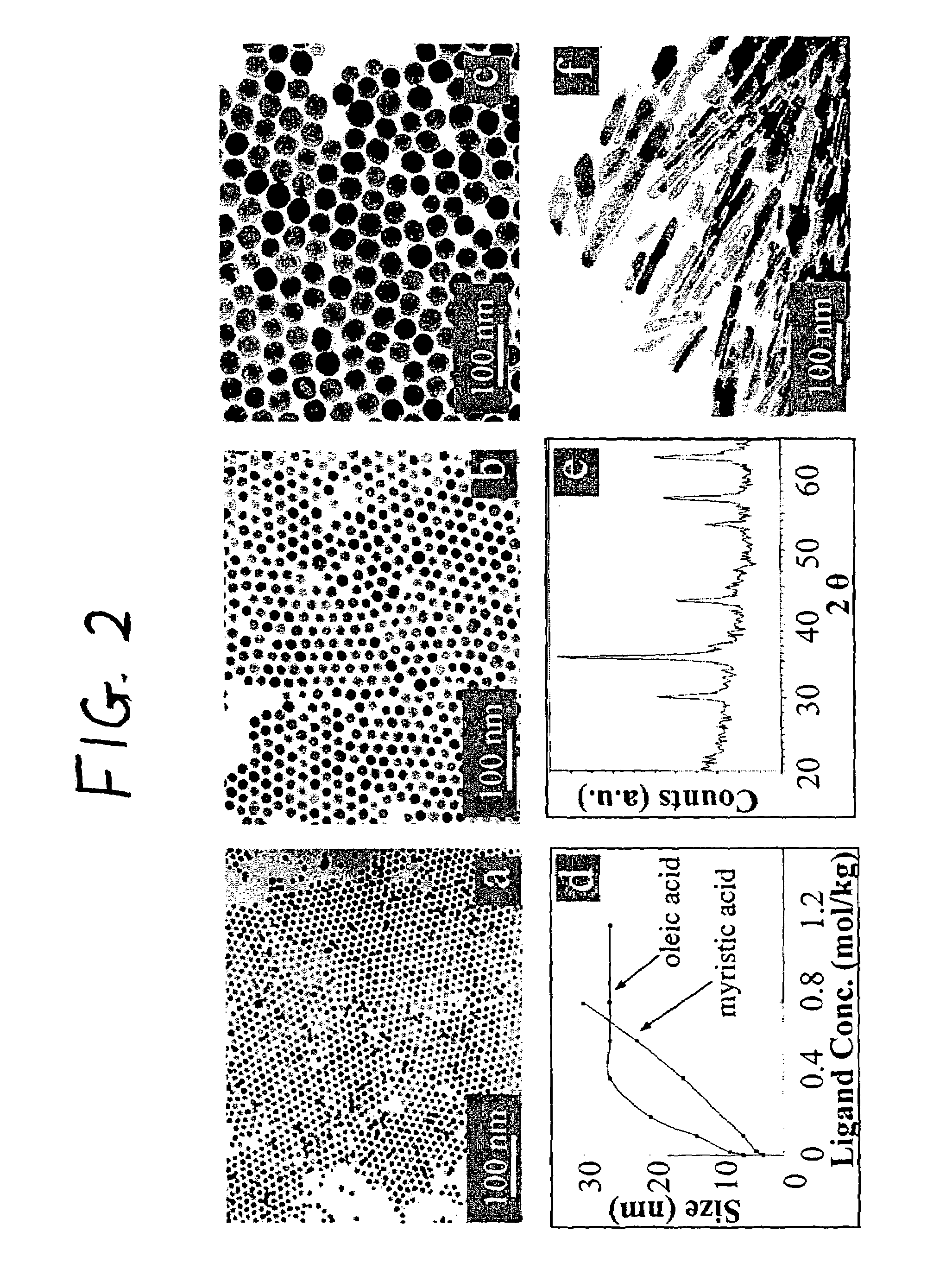 Synthetic control of metal oxide nanocrystal sizes and shapes