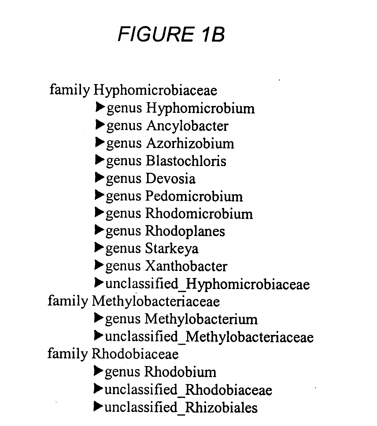 Biological gene transfer system for eukaryotic cells