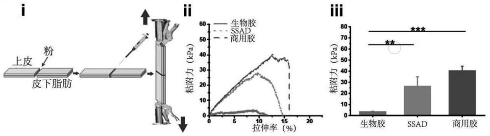 Medical adhesive capable of being used for dense connective tissues