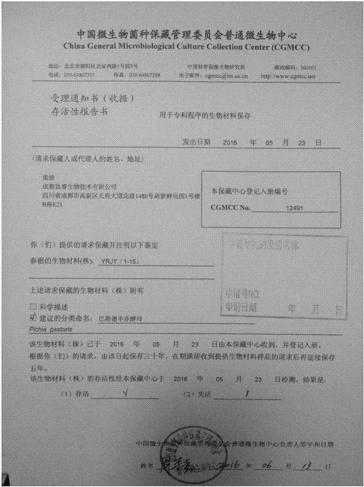 Preparation method and purification method of recombinant human-derived III type collagen