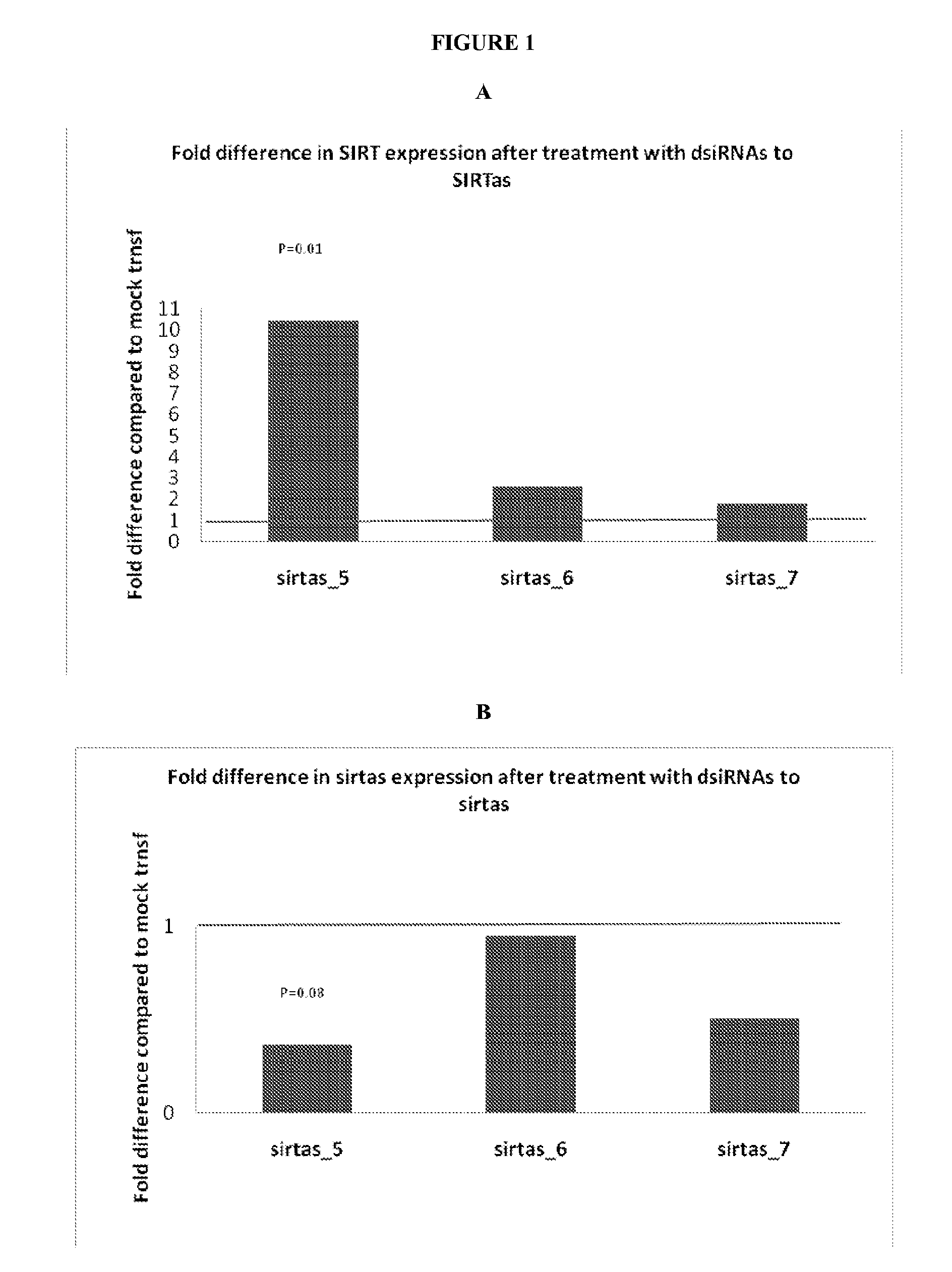 Treatment of sirtuin 1 (SIRT1) related diseases by inhibition of natural antisense transcript to sirt1