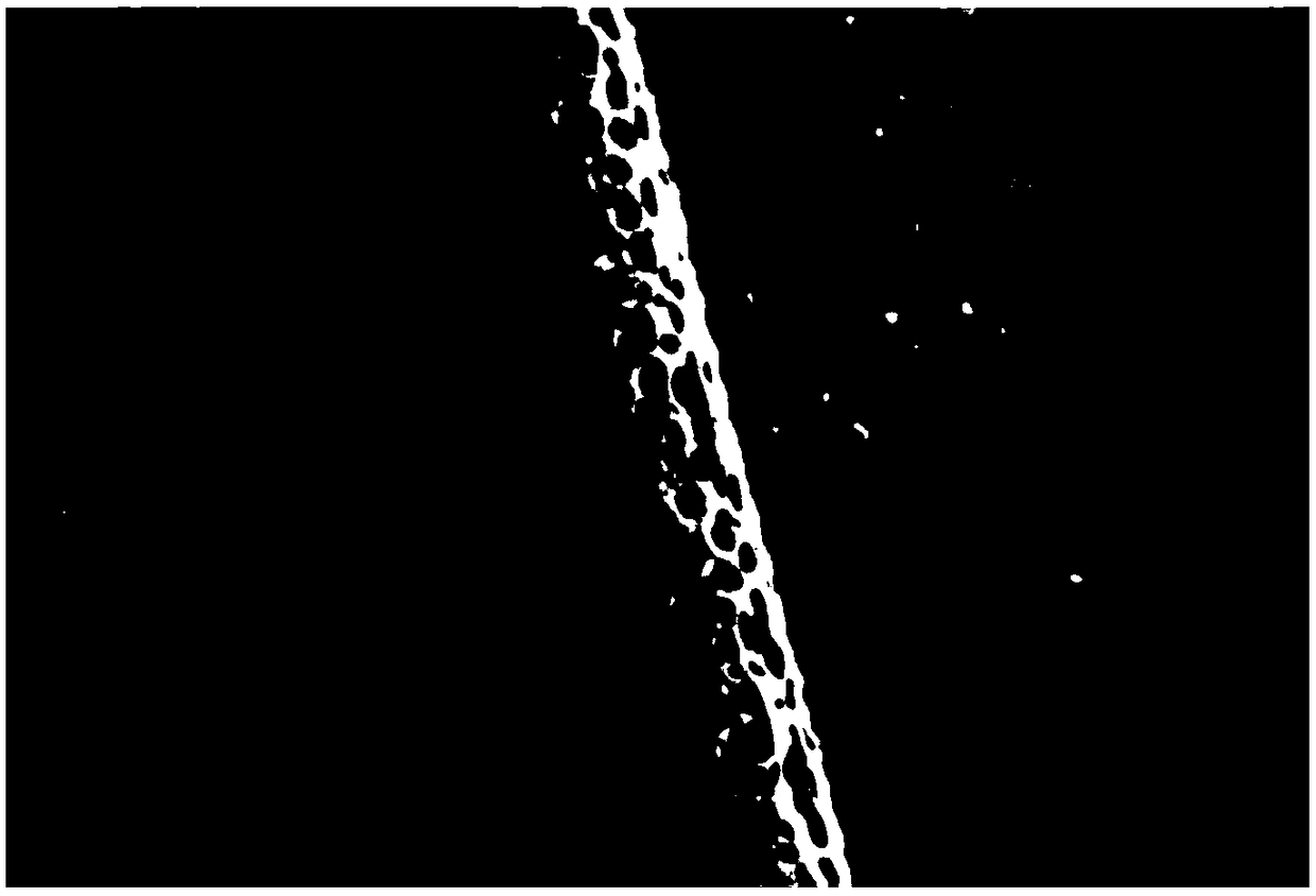 Method for preparing high-efficiency filtration and intelligent antibacterial porous nanofiber membrane