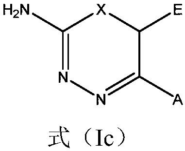 2-amino-1,3,4-thiadiazine and 2-amino-1,3,4-oxadiazine based antifungal agents