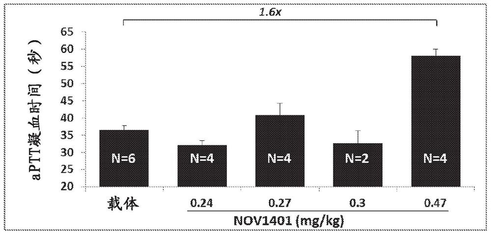 Factor XI antibodies and methods of use