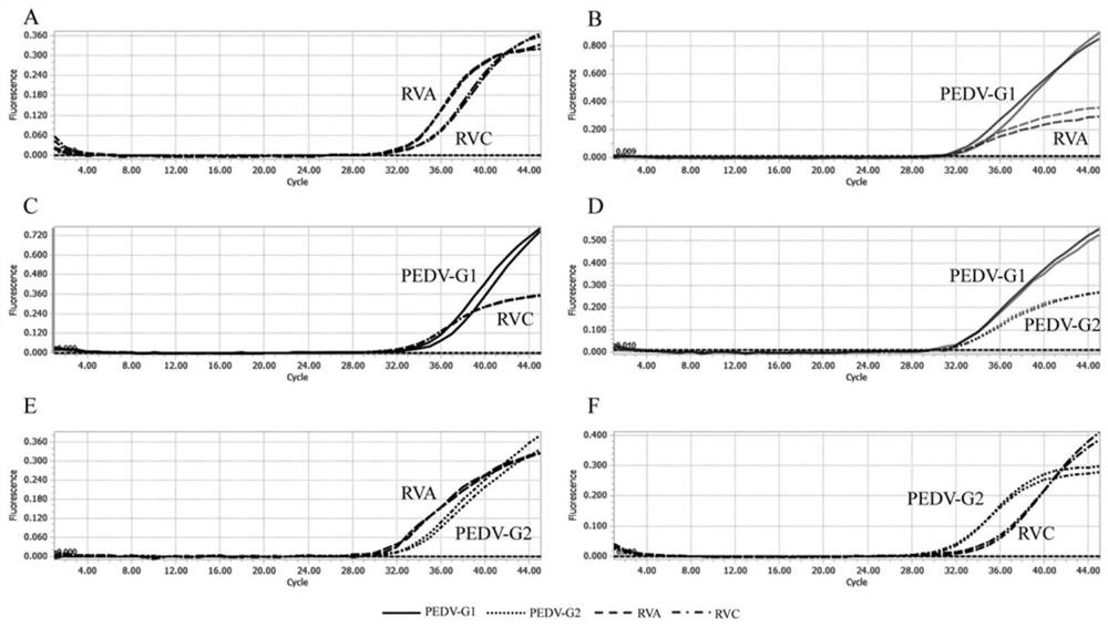 Quadruple fluorescent quantitative PCR (Polymerase Chain Reaction) detection kit for detecting porcine epidemic diarrhea virus and porcine rotavirus and application of quadruple fluorescent quantitative PCR detection kit