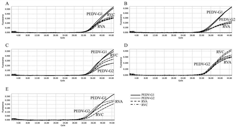 Quadruple fluorescent quantitative PCR (Polymerase Chain Reaction) detection kit for detecting porcine epidemic diarrhea virus and porcine rotavirus and application of quadruple fluorescent quantitative PCR detection kit