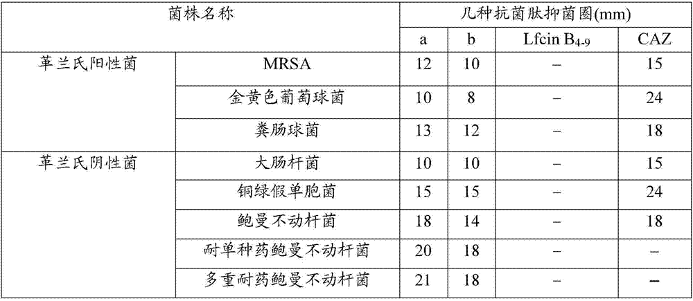 Antibacterial pentapeptide derivative and application thereof