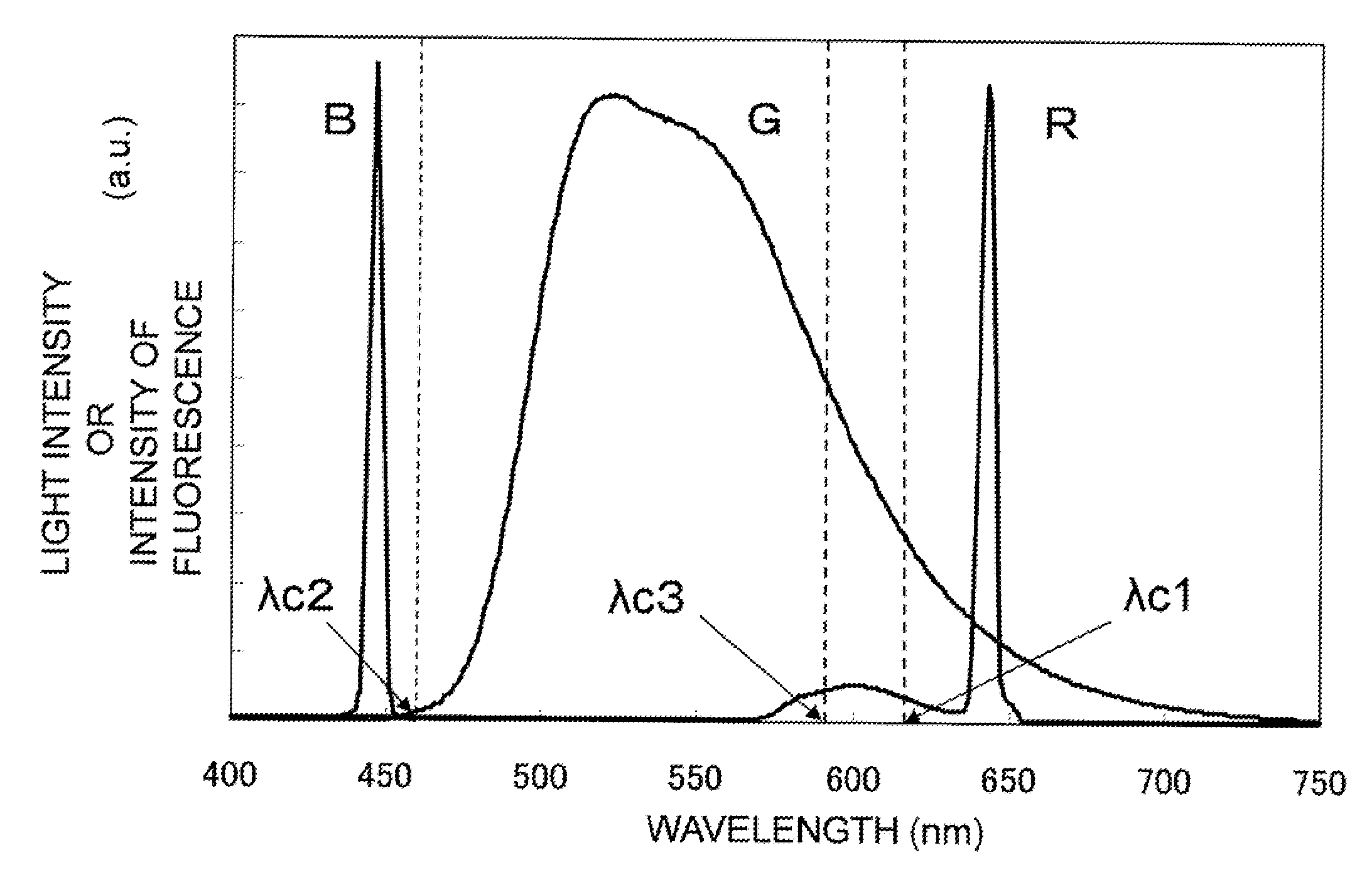 Light source apparatus and image display apparatus