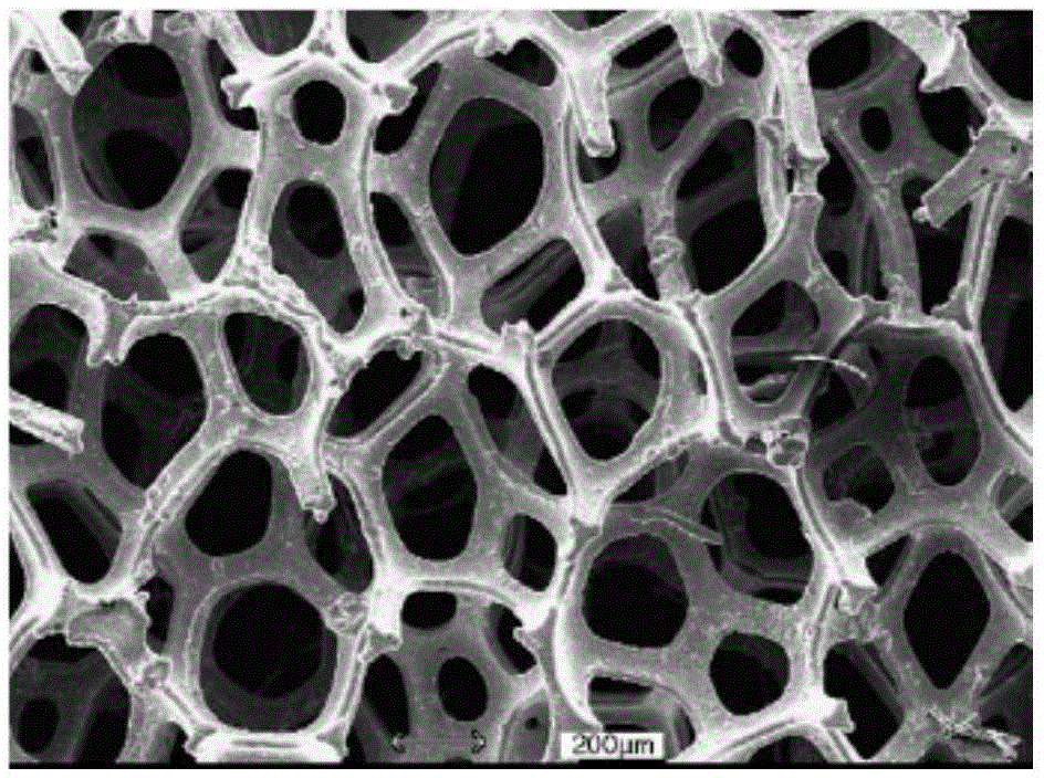 Biofuel cell capable of directly oxidizing glucose and preparation method of biofuel cell