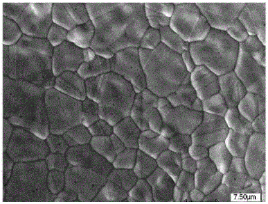 Biofuel cell capable of directly oxidizing glucose and preparation method of biofuel cell