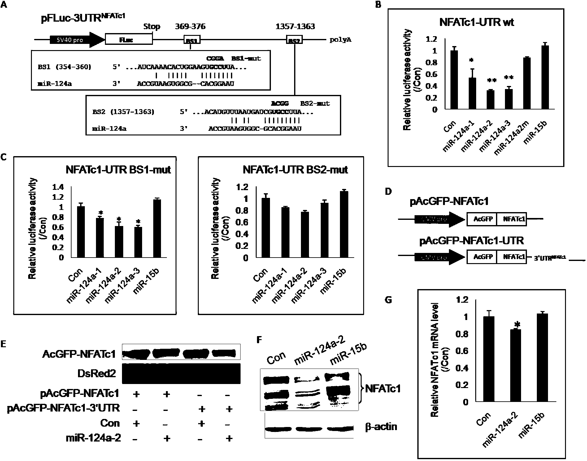 Application of micromolecule RNA used as immunosuppressor