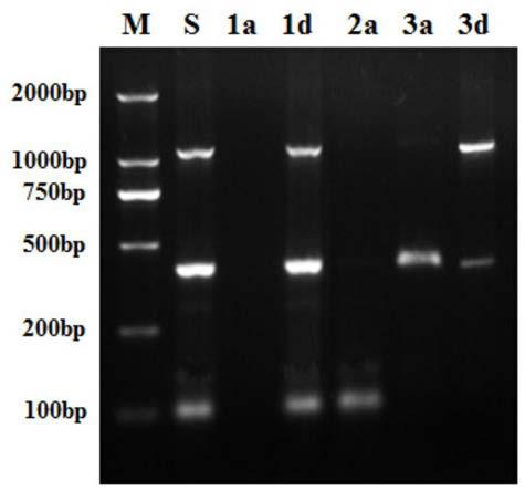 A method for selectively extracting dna