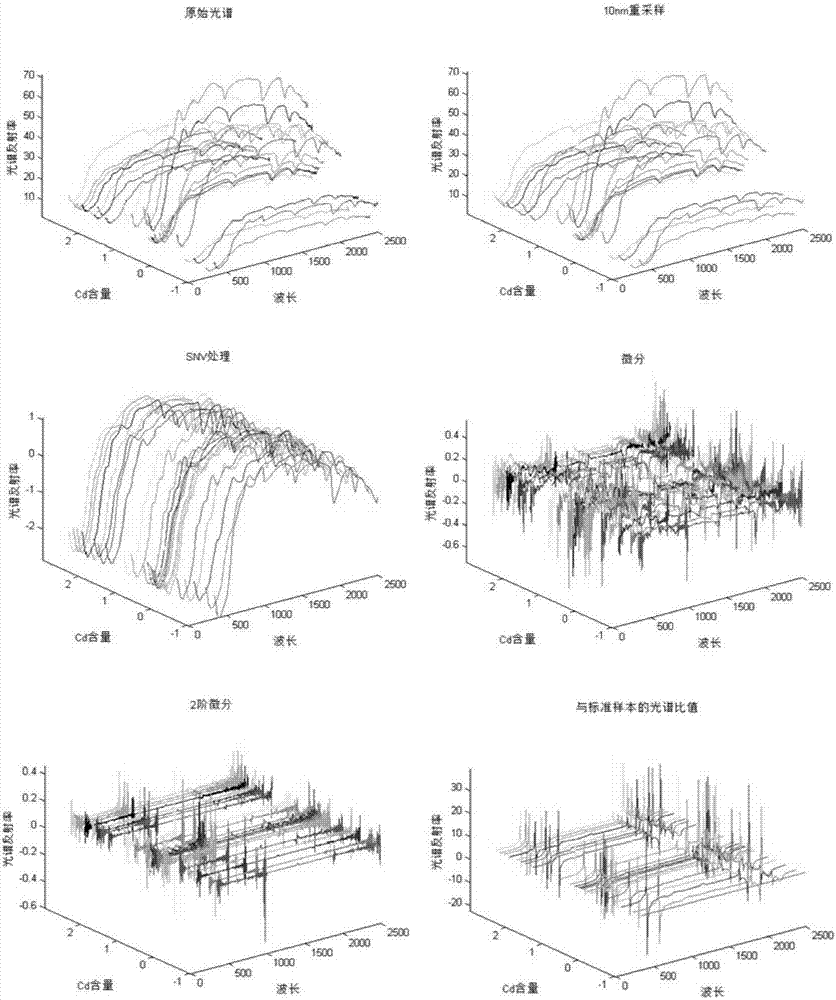 Inversion modeling for content of heavy metal Cd in soil on the basis of hyperspectral features of indoor standard sample and recognition method for spectral response characteristic wave band thereof