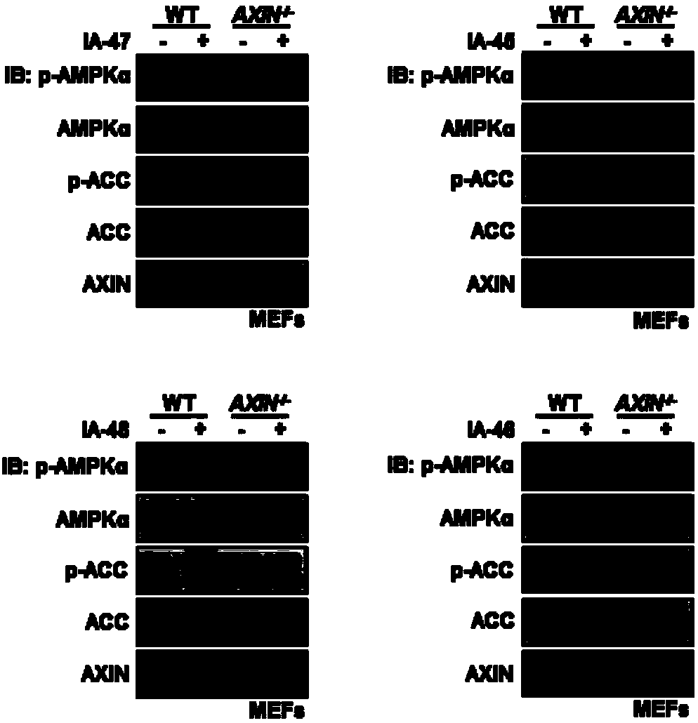 Substituted imidazolium compounds, and preparation method, pharmaceutical compositions and application thereof