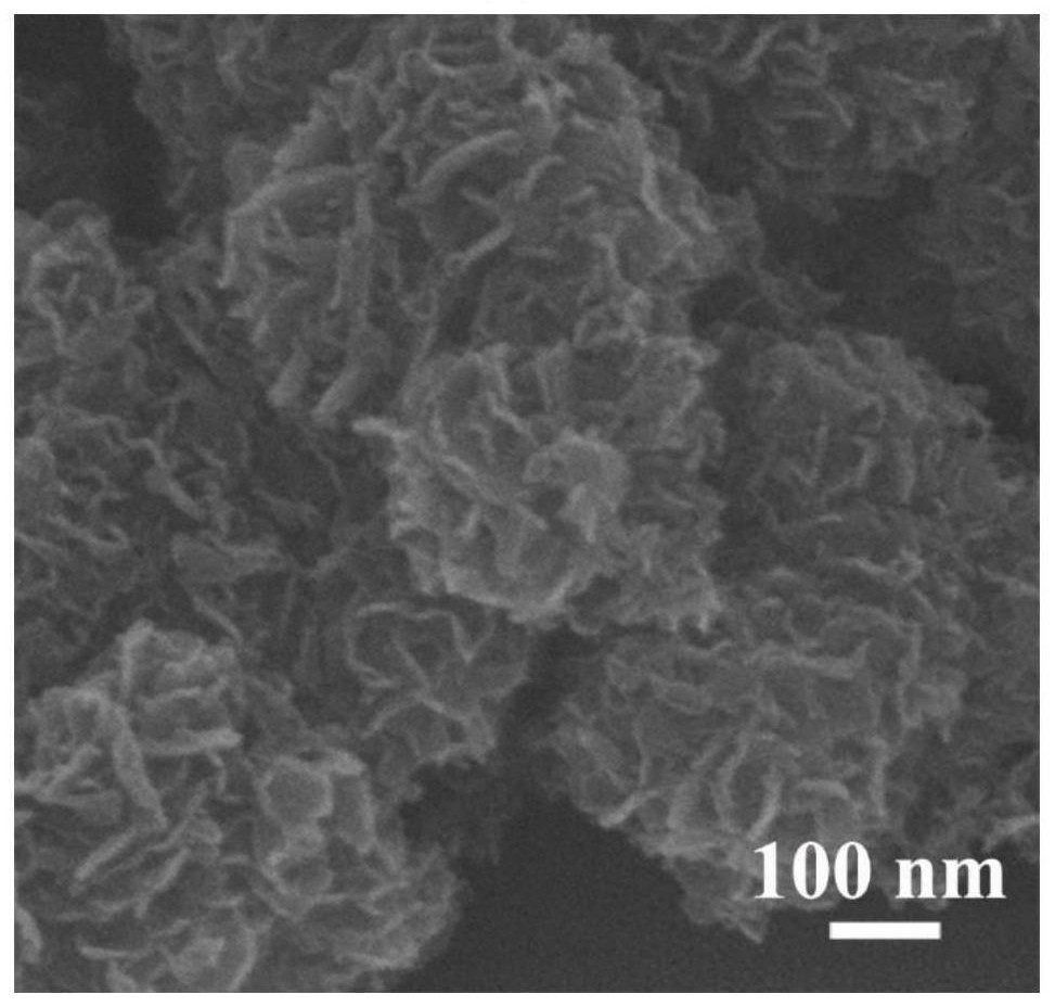 Electrochemical immunosensor for simultaneously detecting two neuroendocrine tumor markers