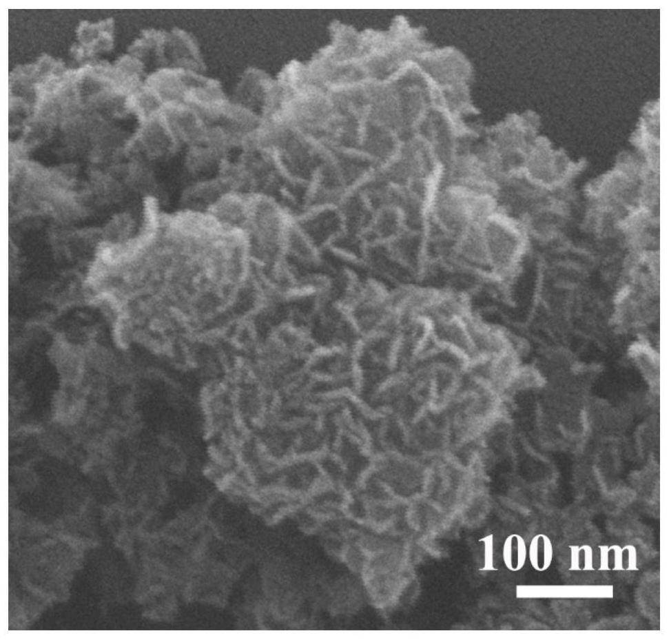 Electrochemical immunosensor for simultaneously detecting two neuroendocrine tumor markers