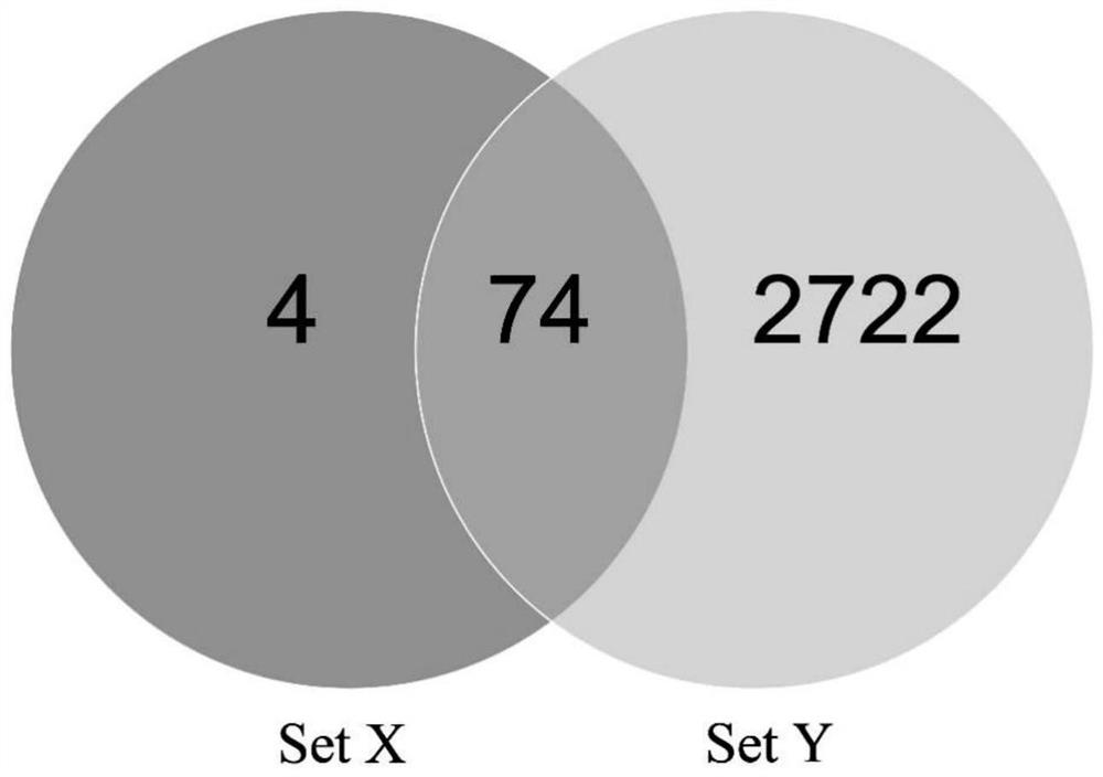 A method for identifying specific peptides of protein-containing traditional Chinese medicine