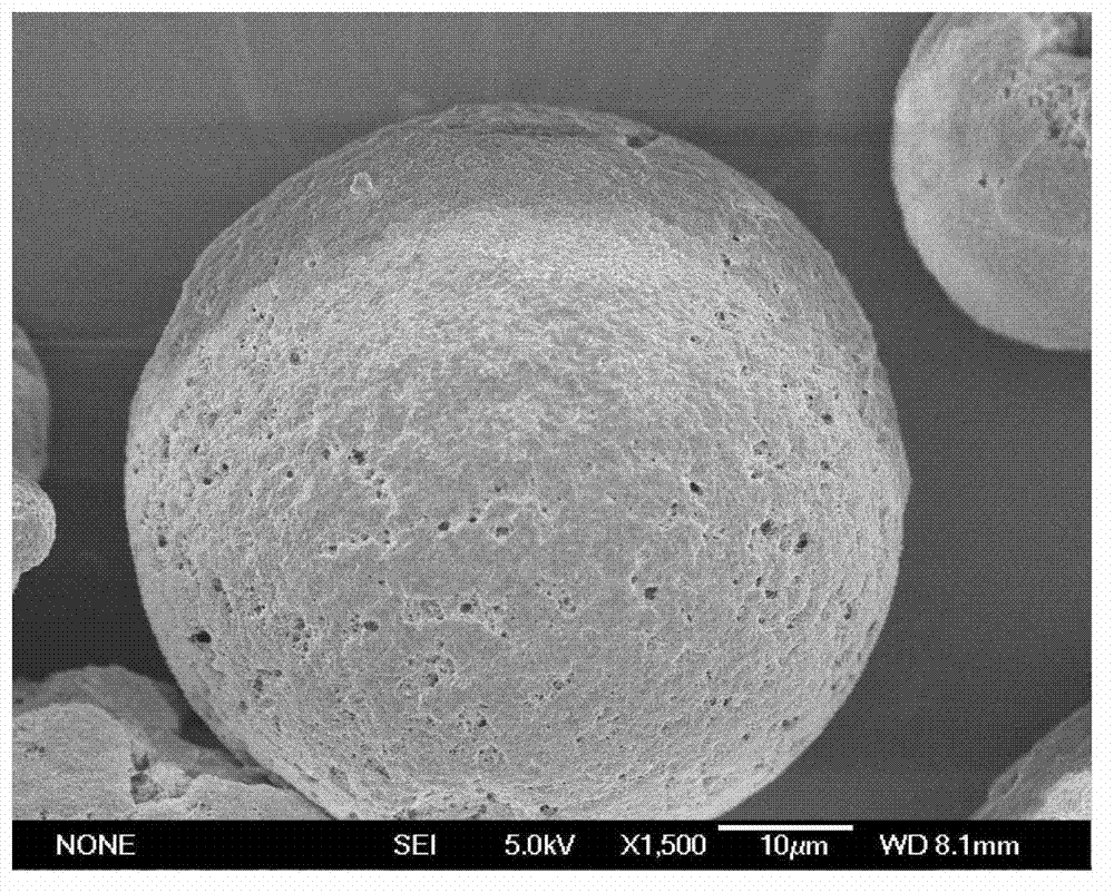 Super-porous polysaccharide microsphere and preparation method thereof