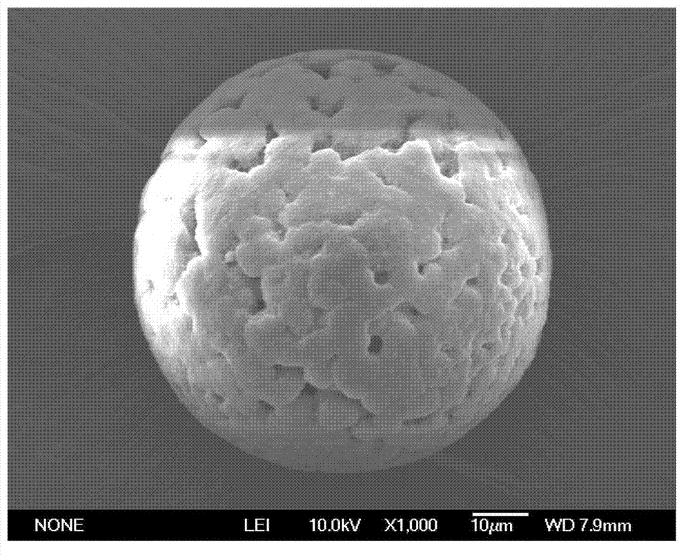 Super-porous polysaccharide microsphere and preparation method thereof