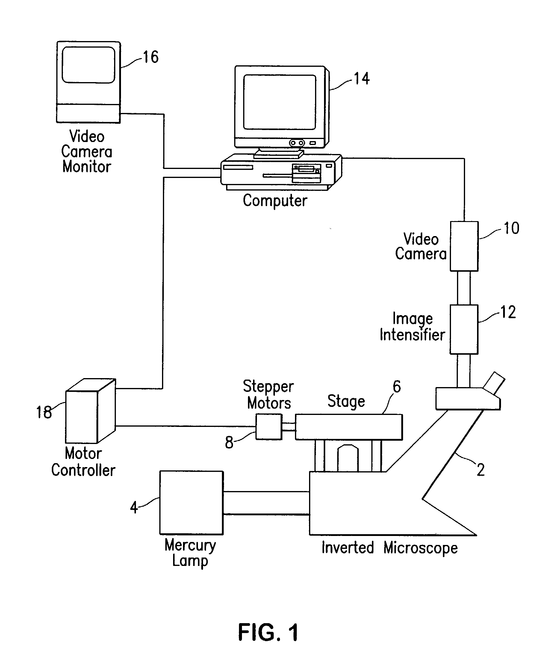 Fluorescence digital imaging microscopy system