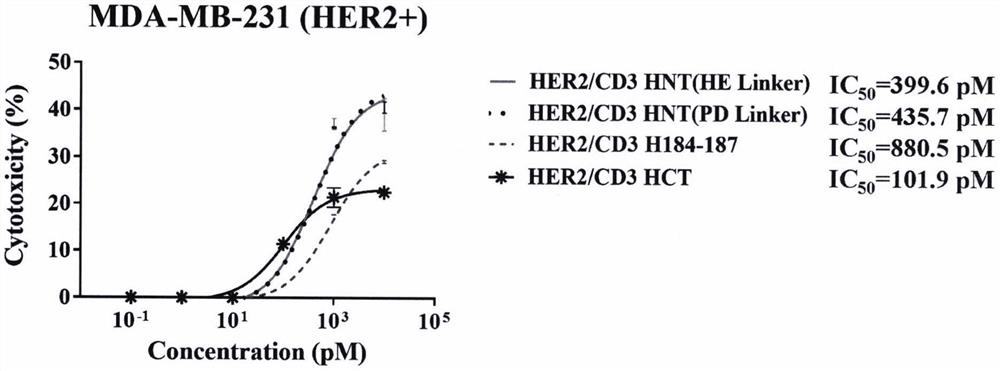 Preparation method of tri-specific antibody based on structure optimization protein activity