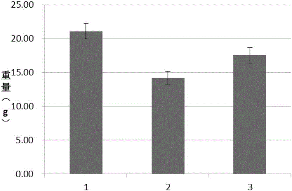 Compound rupatadine bioadhesion nasal gel product and preparation method