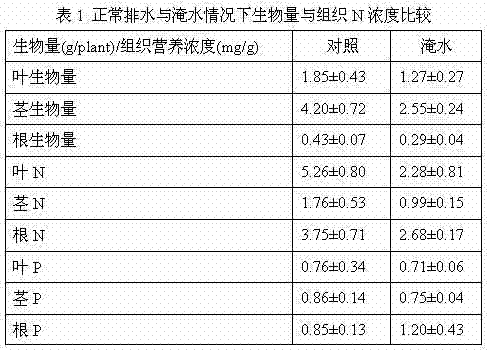 The method and application of purifying eutrophic water body by partial flooding of willow