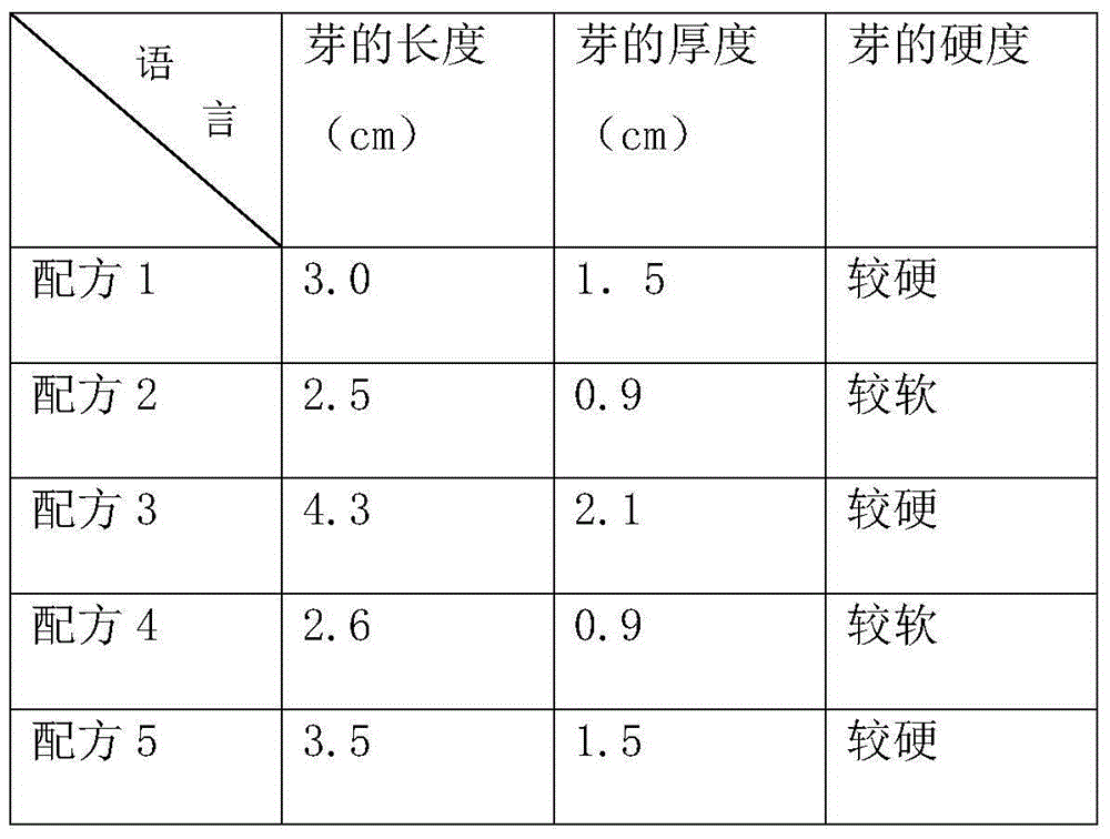 Tissue culture and propagation method for spring bamboo shoots