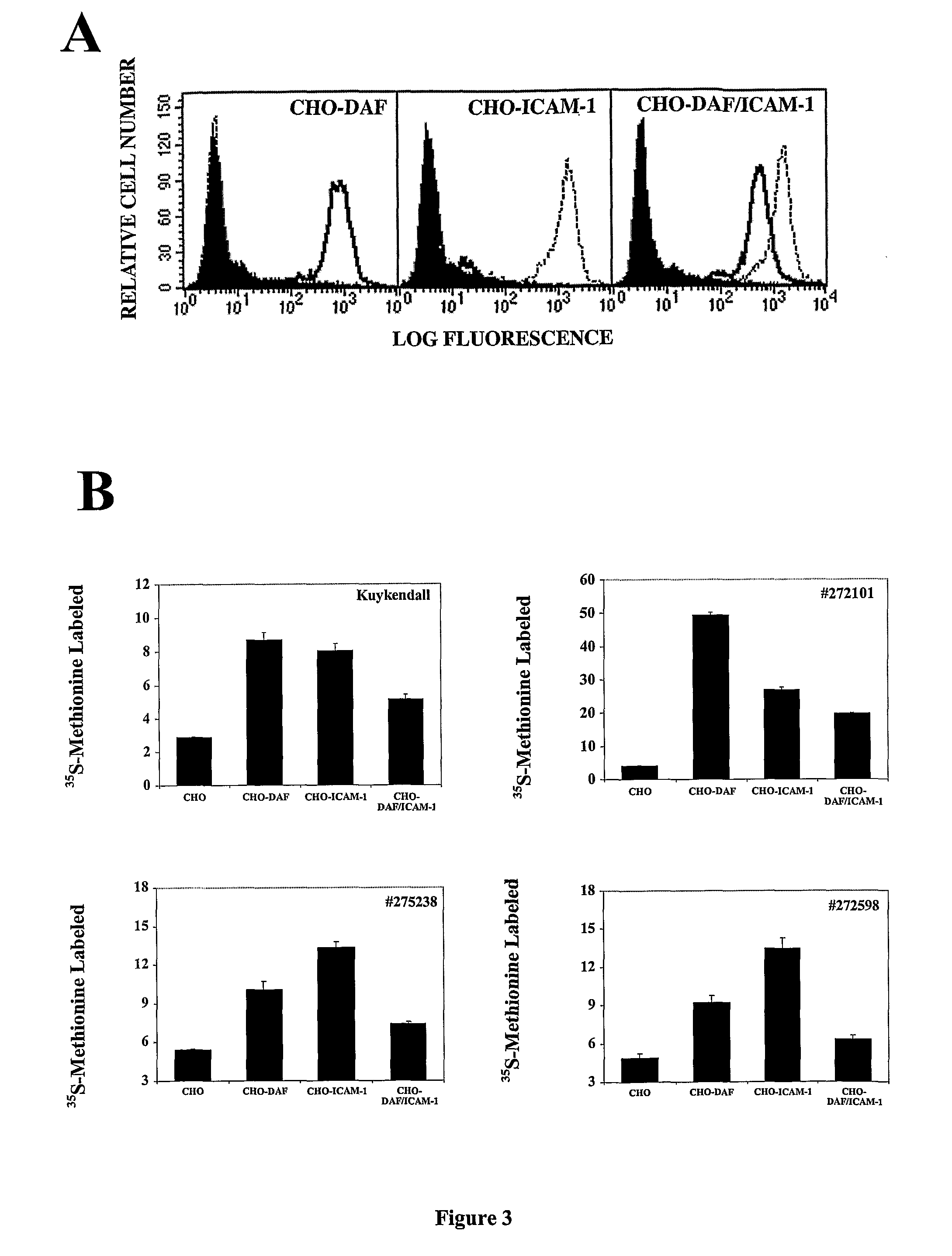 Modified oncolytic viruses