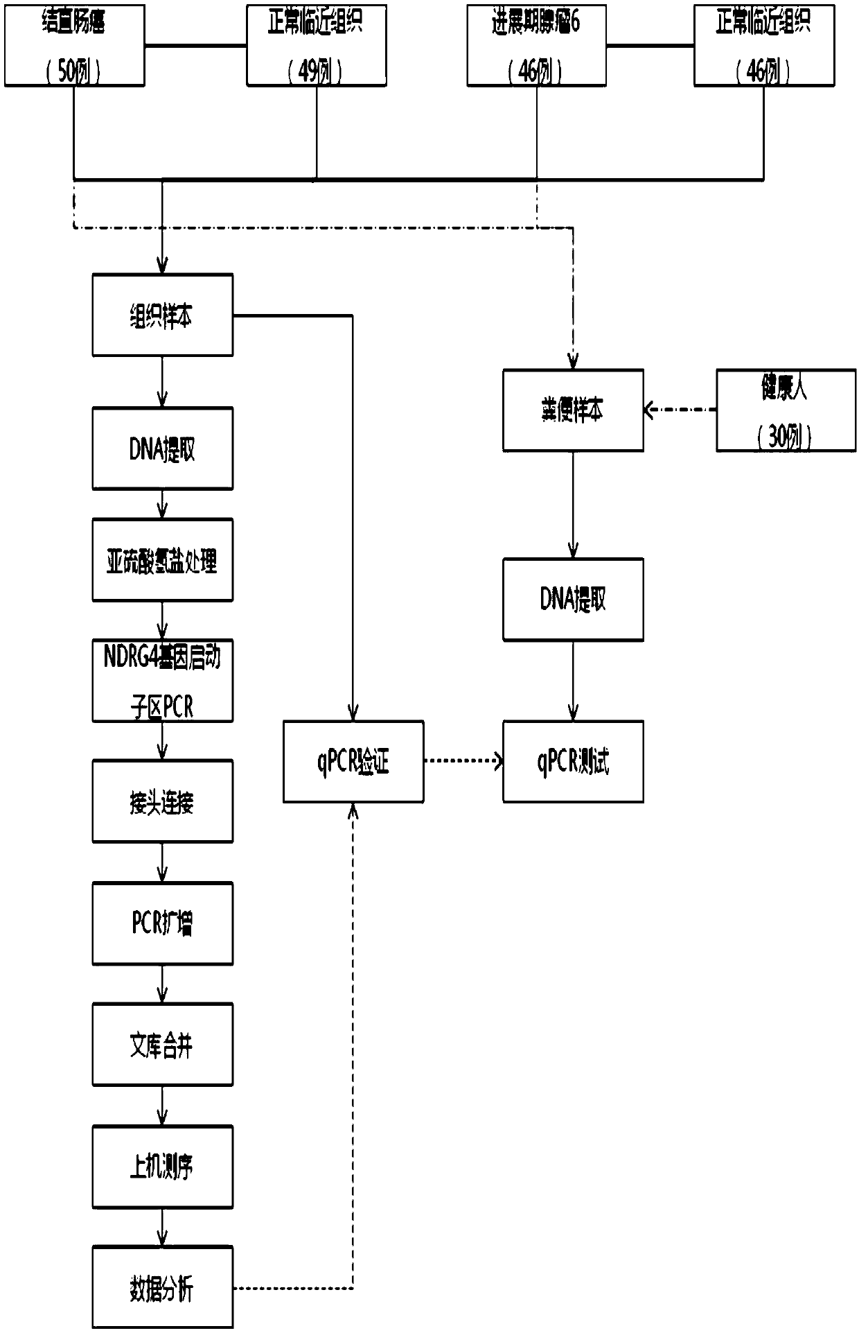 Method for early detection on colorectal cancer on basis of NDRG4 gene methylation sequence