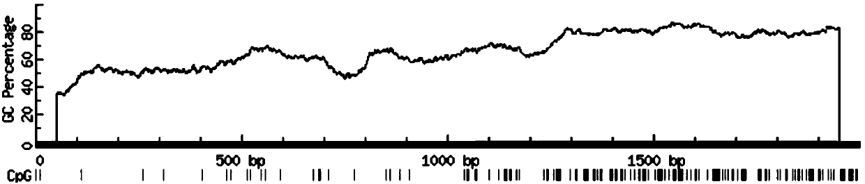 Method for early detection on colorectal cancer on basis of NDRG4 gene methylation sequence