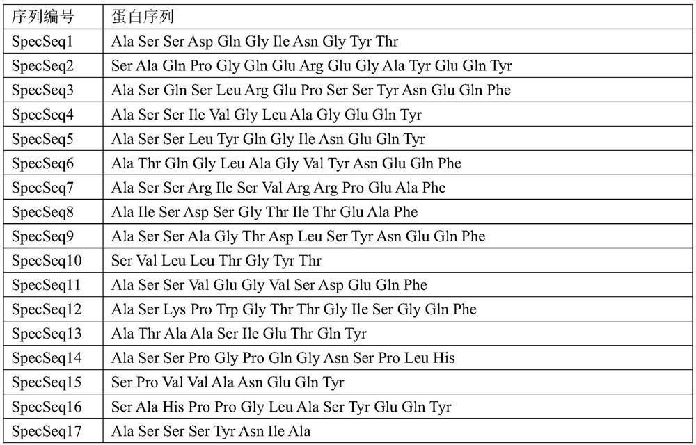 Peripheral blood TCR marker for liver cancer as well as detection kit and application thereof