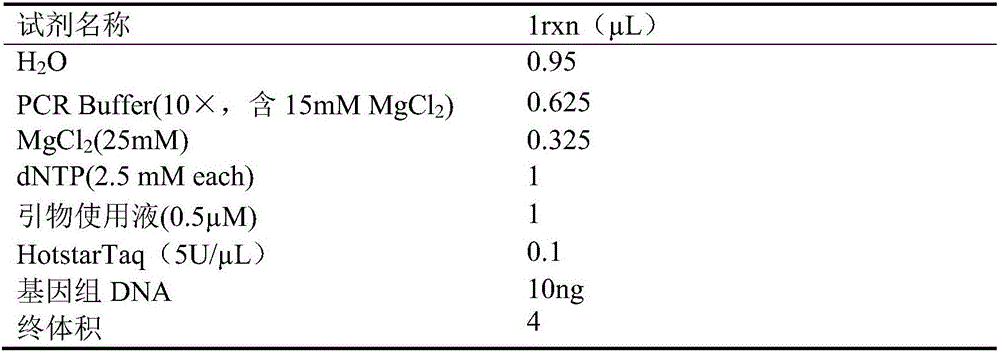 Kit for detecting polymorphism of non-small cell lung cancer mononucleotide and application of kit